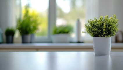 Fototapeta premium Serene Kitchen Plant: A Touch of Nature Indoors