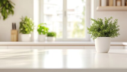 Modern Kitchen Plant Decor: Serene White Potted Plant on a Bright Kitchen Counter