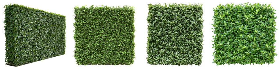 Fototapeta premium Lush green artificial hedge panels for landscape design and privacy screening in outdoor spaces