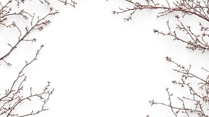 Obraz premium Elegant Natural Frame Created by Tree Branches and Twigs Against a White Background