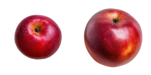 Different sizes of red apples on a white background highlighting natural variations in fruit