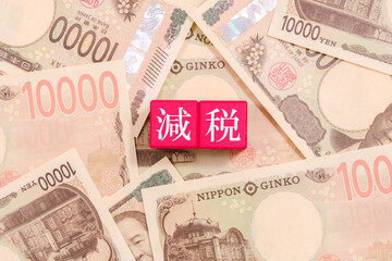 一万円札とブロックの上に書かれた減税　経済