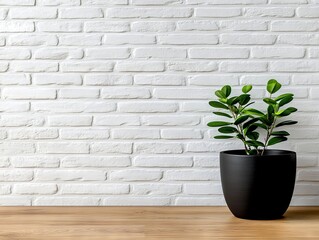A potted plant sitting on a wooden table in front of a white brick wall