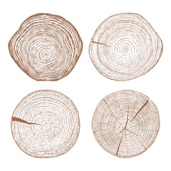 Tree wood texture. Wooden old trunk. Cut timber log. Abstract rings nature pattern. Brown circle stump. Wood cross section. Set vector.