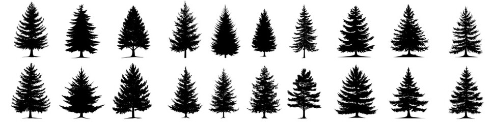 Obraz premium A contemporary monochrome illustration of vintage trees and forest outlines, highlighting a collection of evergreen coniferous trees.