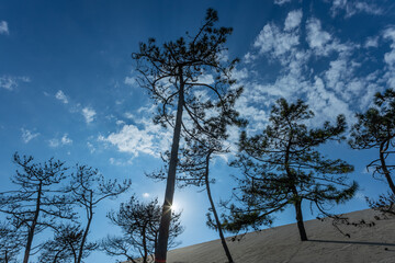 Dune of Pilat in France