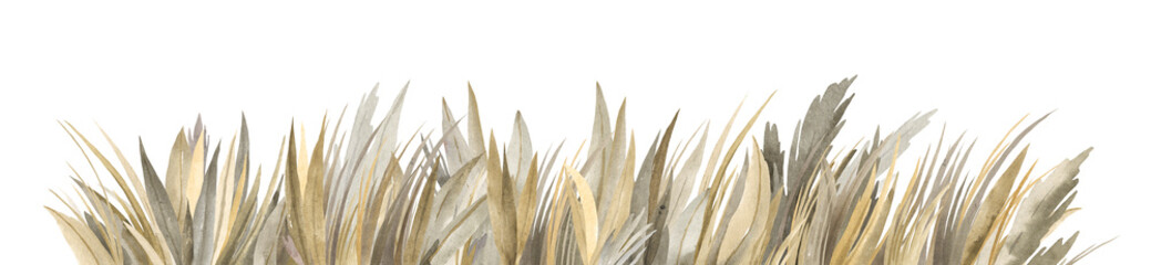 Hand drawn watercolor grass isolated on white background. Withered herb. Abstract grass. Autumn.