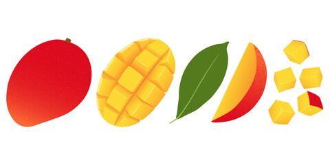 Set of fresh whole, half, cut slice mango fruit. Summer fruits for healthy lifestyle. Organic mango fruit.