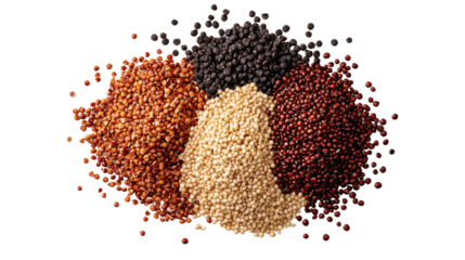A vibrant assortment of colorful quinoa seeds in various shades for healthy cooking.