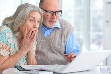 Portrait of an elderly couple using a laptop at home