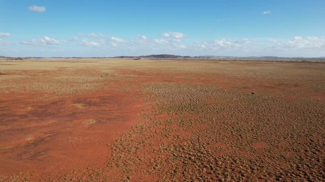 Aerial view of arid landscape with wild horses along the North West Coastal Highway, Point Samson, Australia.
