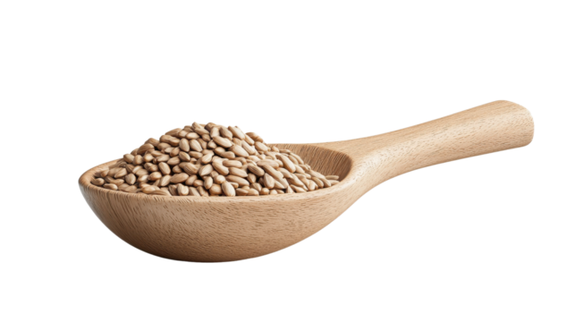 A wooden spoon filled with raw, organic grains, showcasing natural textures and colors.