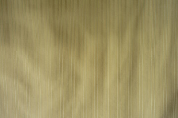 Surface of light olive green striped cotton and polyester fabric