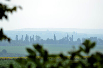 Green beautiful landscape with trees and fog in Ukraine