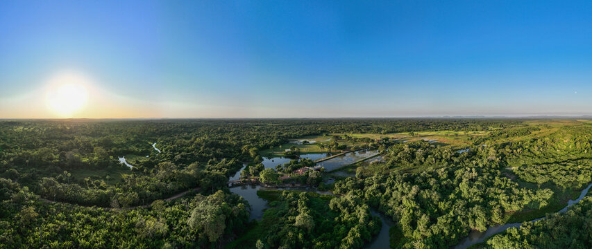 Aerial view of lush forest and winding river at sunset, Miranda, Brazil.