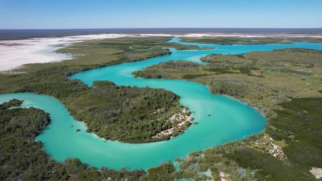 Aerial view of beautiful turquoise river winding through lush forest in serene Willies Creek, Kimberley Region, Australia.
