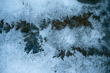 ice on the stream in the forest