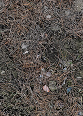 Soil background, clay texture. Rural industry Spring field. Close-up from above. Dry ground, hard surface
