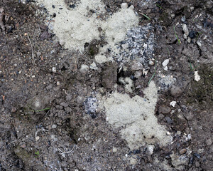 Soil background, clay texture. Rural industry Spring field. Close-up from above. Dry ground, hard surface
