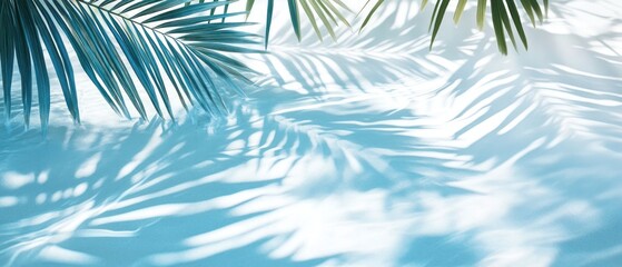 Tranquil poolside scene with palm shadows and blue water