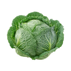 A fresh, vibrant green cabbage with tightly curled leaves, showcasing a textured surface and a round shape.