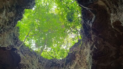 Cave in the forest