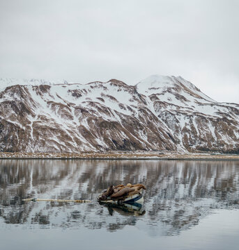 Aerial view of serene seals lounging on icy waters with majestic snowy mountains in the background, Unalaska, United States.
