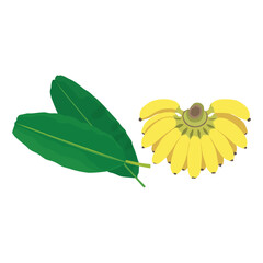 Vector illustration of banana bunch and leaves in cartoon flat style. tropical fruit vector set. Palms foliage and leaves. 