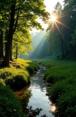 Obraz premium Sun shining over idyllic stream flowing through lush green forest
