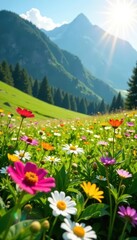 Fototapeta premium Lush greenery and colorful wildflowers in a sunny mountain meadow, warm, sun