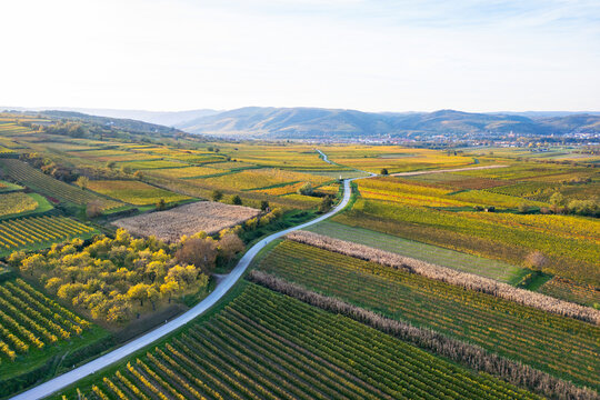 Aerial view of vineyards and agricultural fields at sunset in the picturesque Wachau region, Krems, Lower Austria.