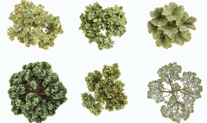 A top view of a set of green outside trees isolated on a transparent background, featuring 2D plants in a 3D render illustration
