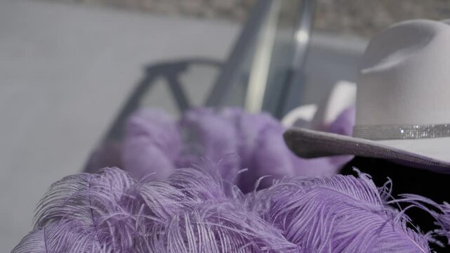 Girls with purple feather in slow motion