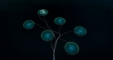 Aerial view of abstract and beautiful network of glowing circles and branches, Senja Island, Lofoten, Norway.