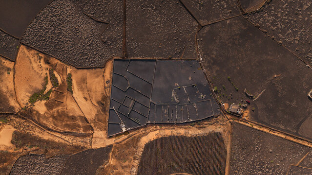 Aerial view of traditional vineyards with dry stone walls and geometric patterns, Lanzarote island, Spain.