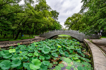Scenery of Beiling Park in Shenyang, China