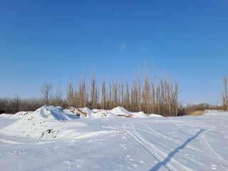 winter landscape with snow