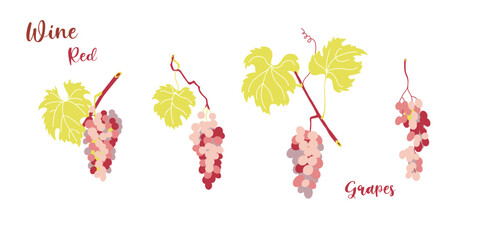 Grapevine leaves and red grape bunches in flat style design.