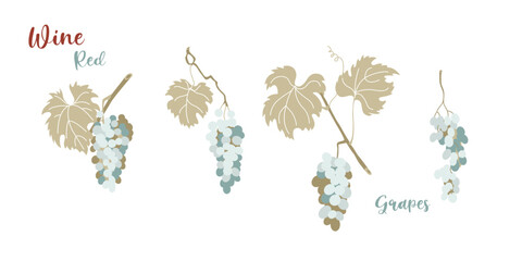 Grapevine leaves and red grape bunches in flat style design.