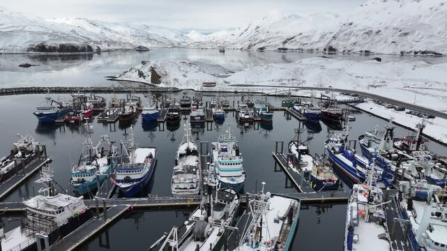 Aerial view of carl mosses harbor with fishing boats and snowy mountains, unalaska, united states.
