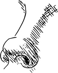 Nose Face part. Hand drawn vector isolated sketch 