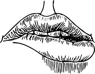 Lips Face part. Hand drawn vector isolated sketch