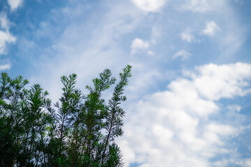 blue sky with clouds