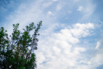 blue sky with clouds