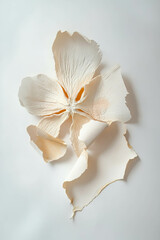 Obraz premium Minimalistic scrapbook composition with starfruit slice on textured background