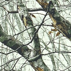 Oak Tree Forest Hunting Camouflage, Seamless Pattern Texture