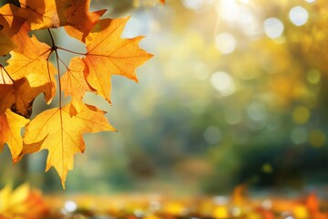Vibrant autumn leaves in a serene park during golden hour, showcasing natures beauty in fall. Generative AI