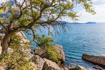 Views from the Golitsyn Trail - a mountain trail carved on the slope of Mount Koba-Kaya, located...
