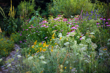 flowers in a garden