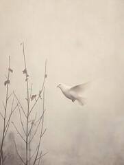 Graceful dove flying through misty soft light
